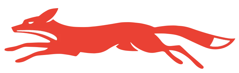 Leicestershire CCC Logo